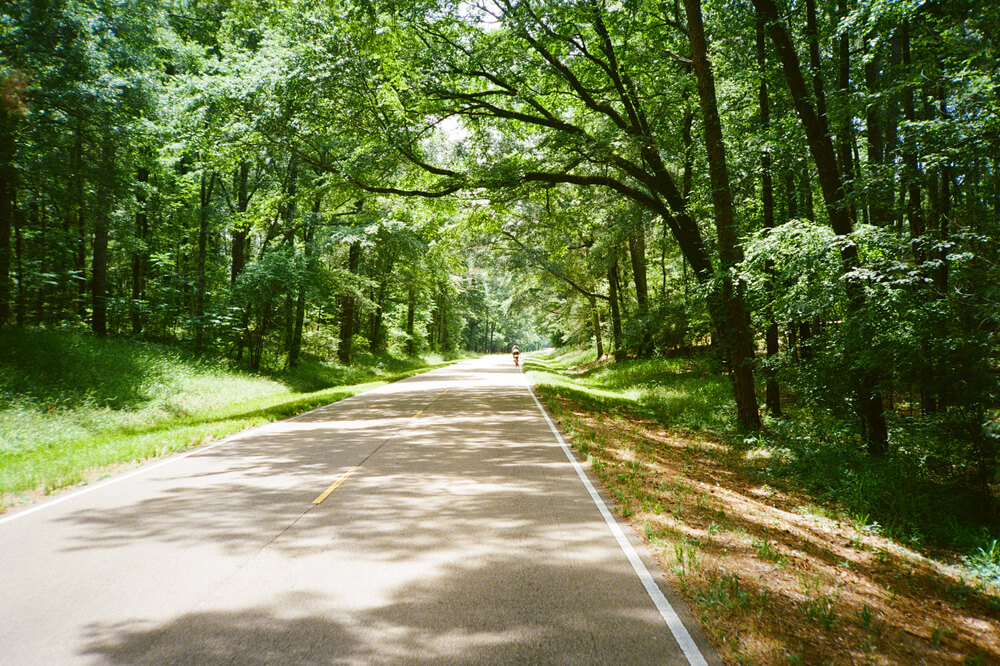 Biking on the Natchez Trace